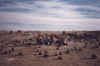 Valle de la Luna.