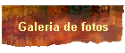 Galeria de fotos