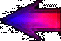 anterior