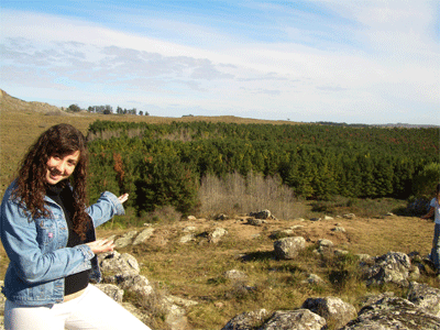 Tandil