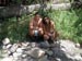 Ventana 2011