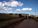 La Brava 2010