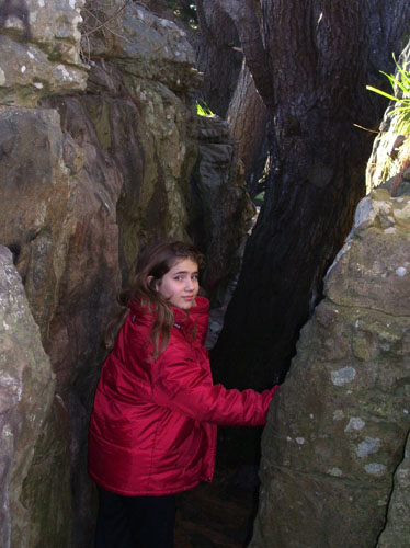 image31