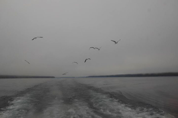 image13