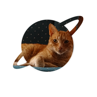 gato