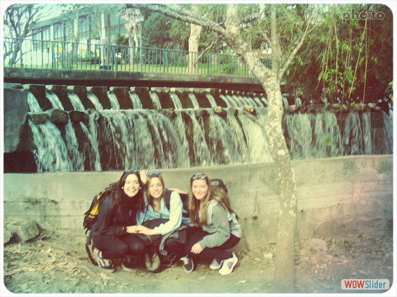 35feed07_l