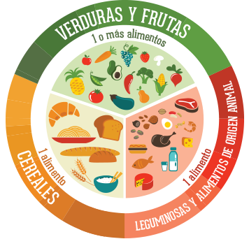 circulo alimenticio