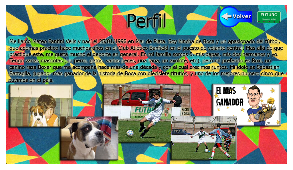 perfil