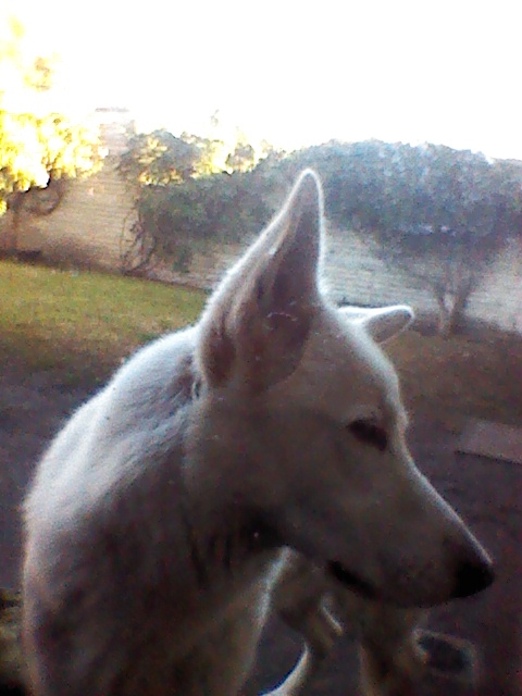 POR �LTIMO UNA FOTO DE TOMBO