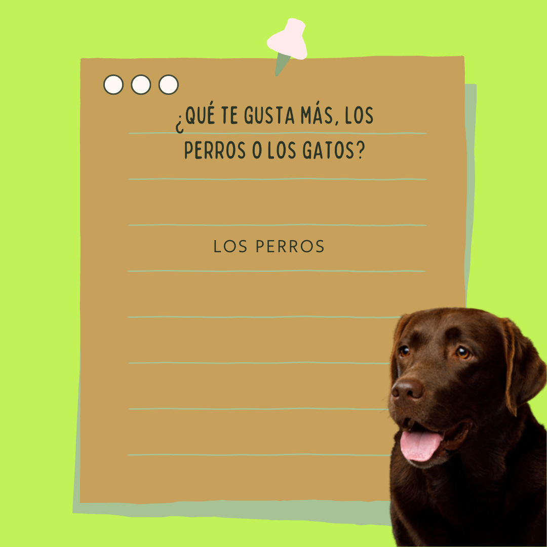 Futuro