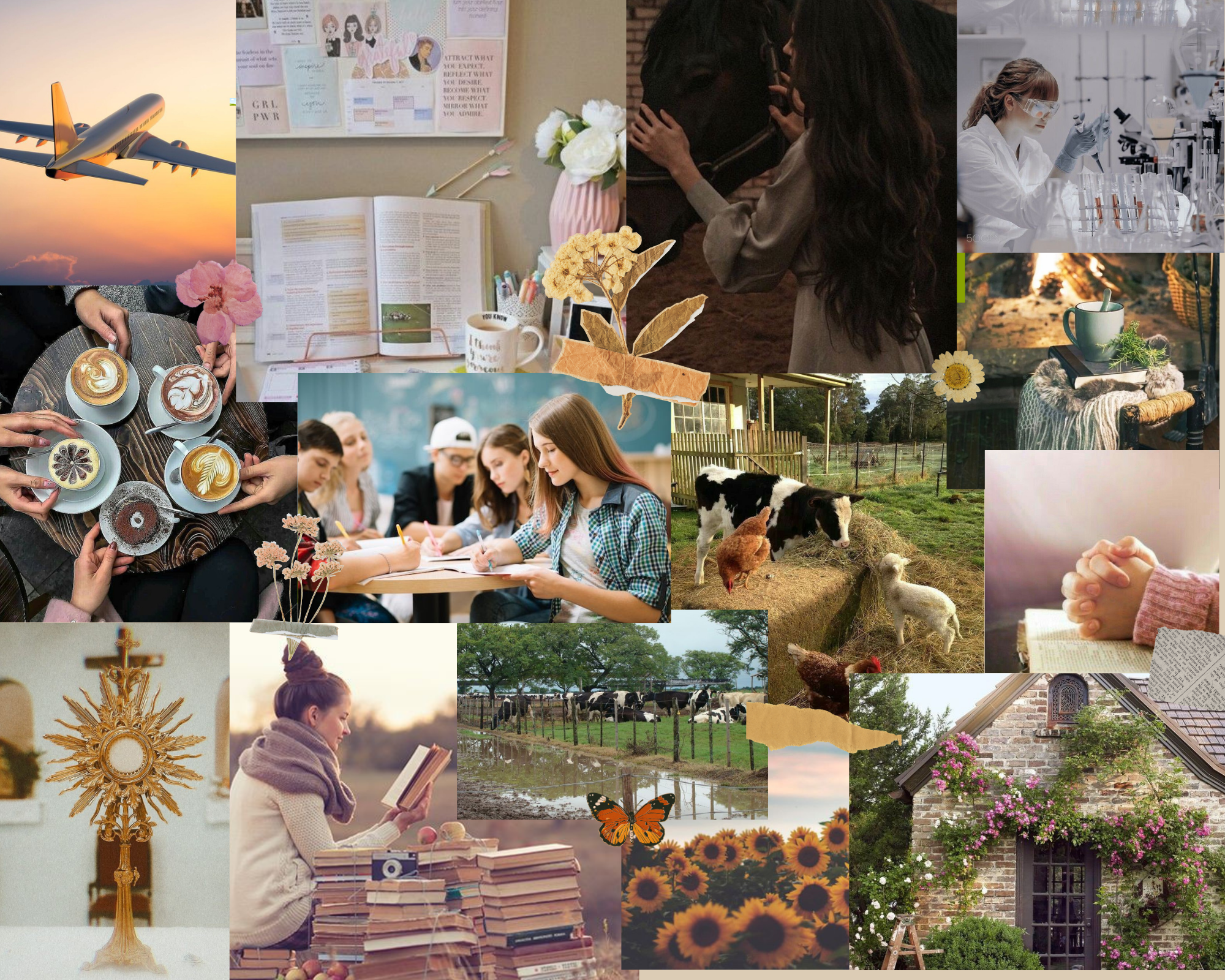 Vision Board de Rocío