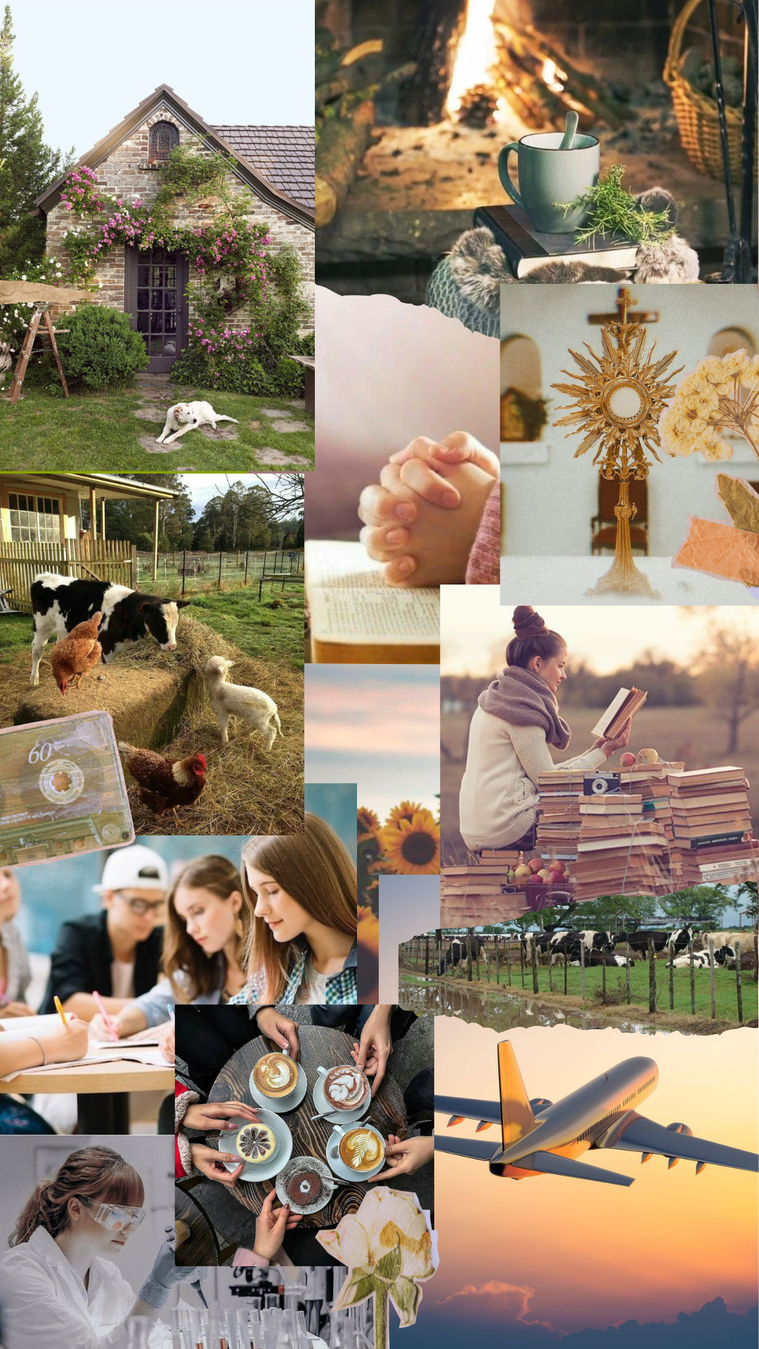 Vision Board de Rocío
