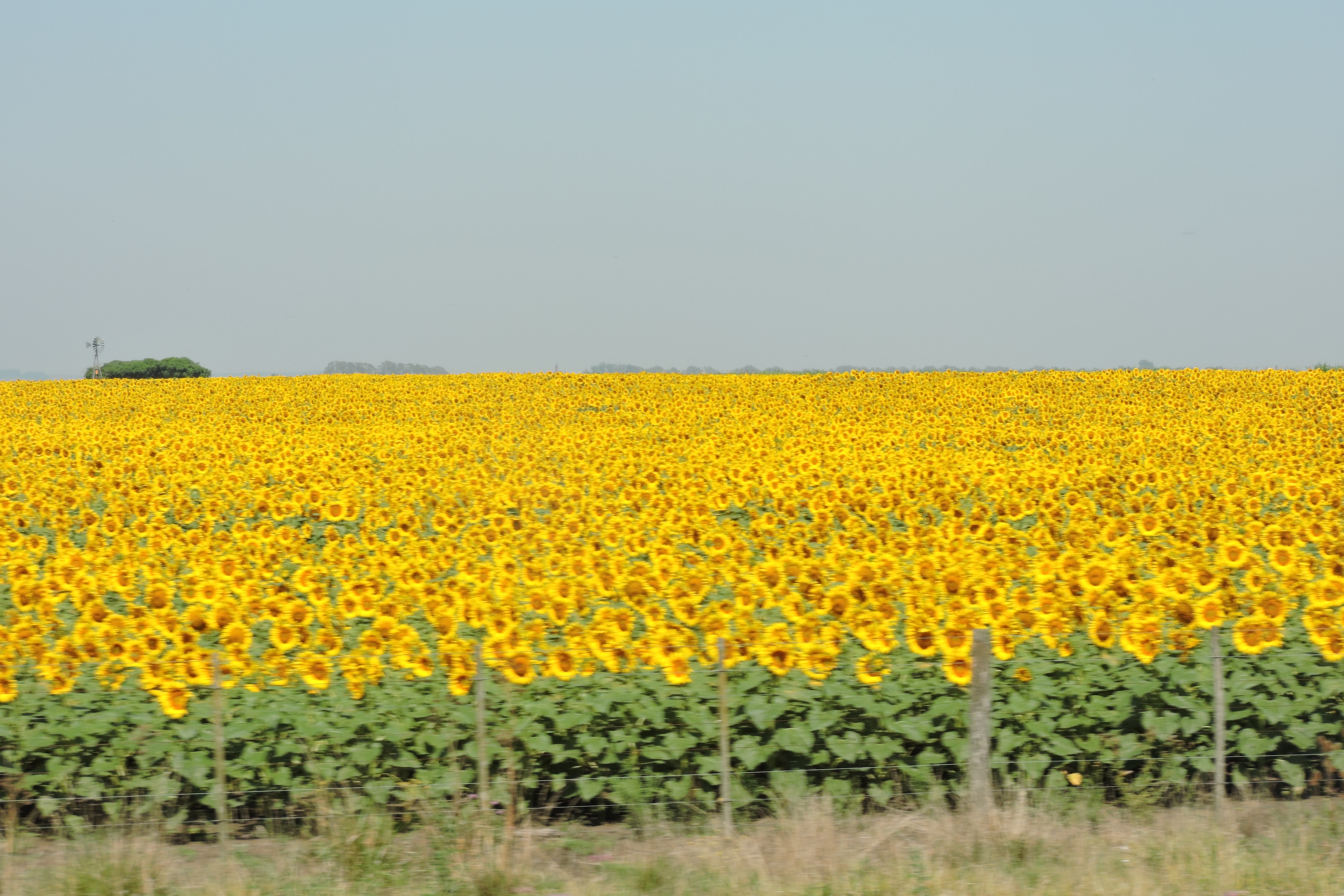 DSCN9317