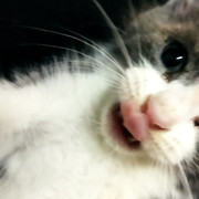 IMG-20220909-180420