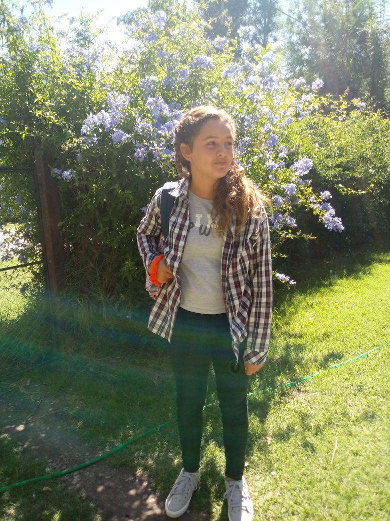Imagen 1
