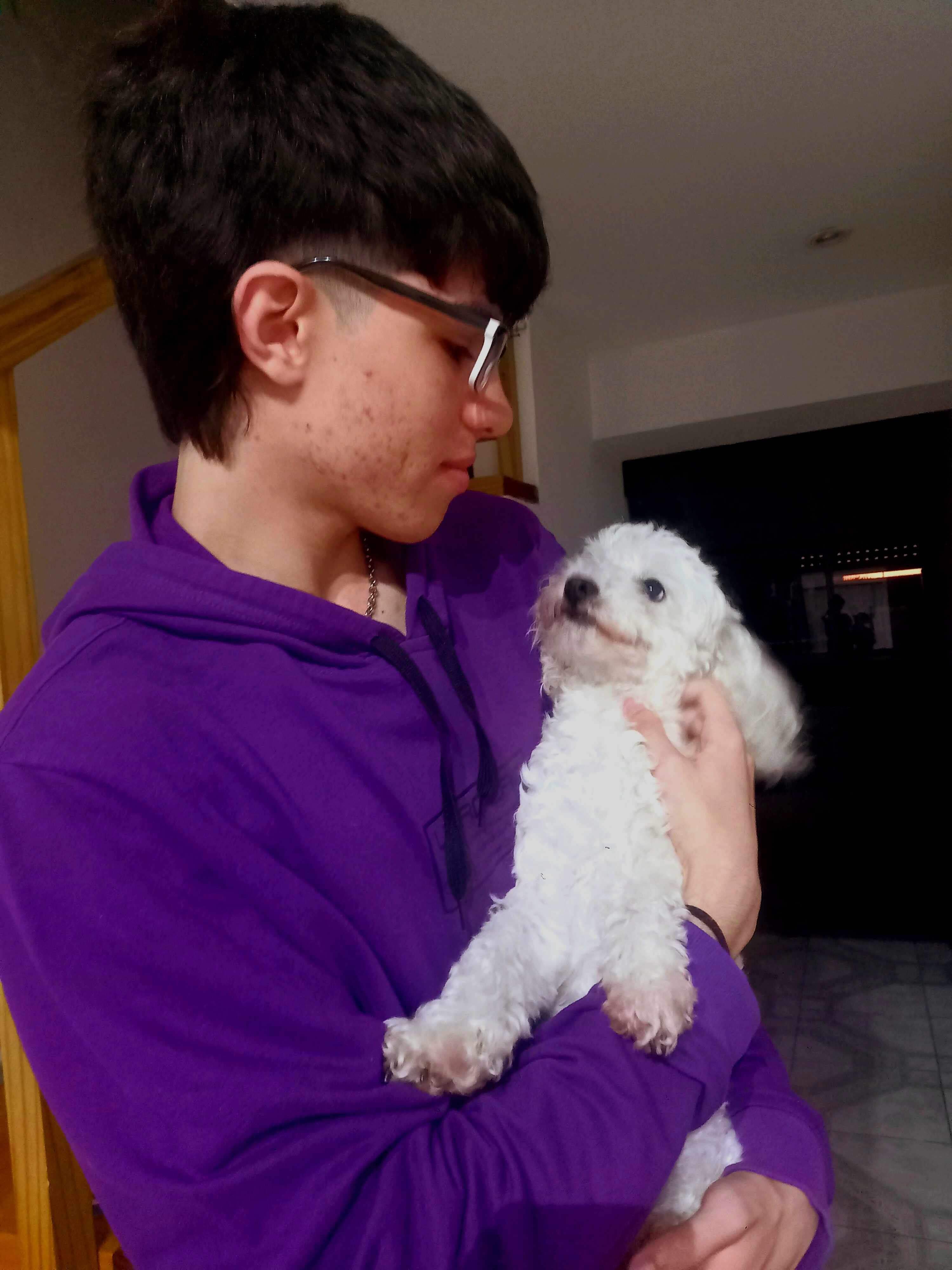 Perrito 9