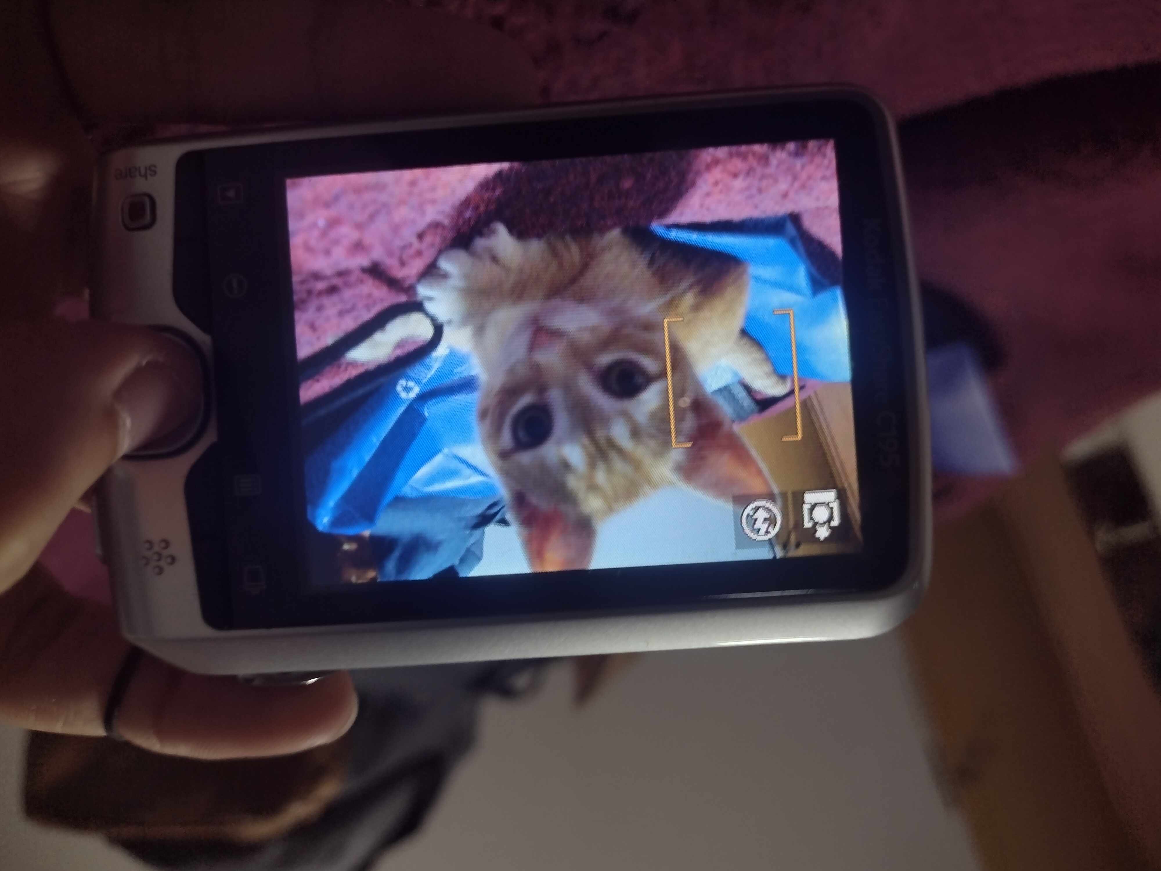 foto-perfil