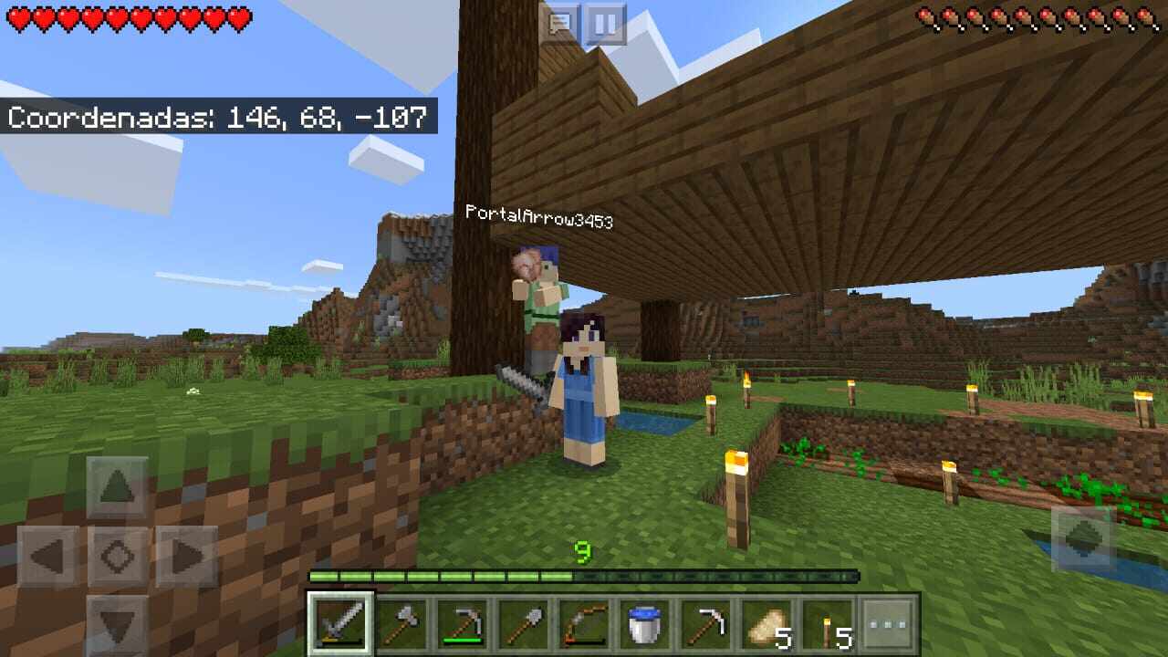 2020minecraft2