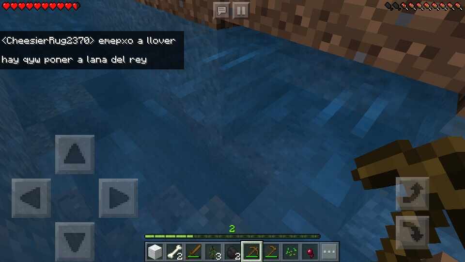 2020minecraft3