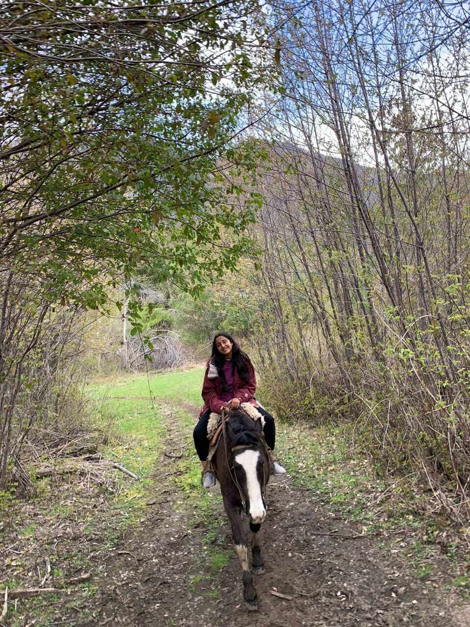 caballo